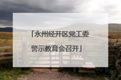 永州经开区党工委警示教育会召开