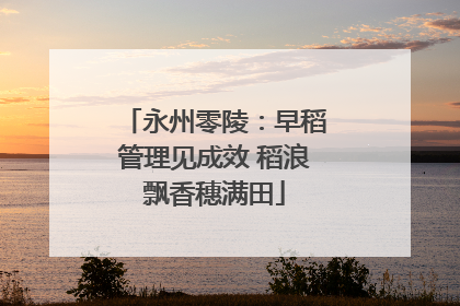 永州零陵：早稻管理见成效 稻浪飘香穗满田