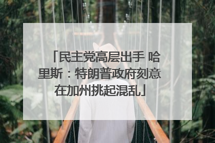 民主党高层出手 哈里斯：特朗普政府刻意在加州挑起混乱