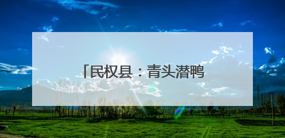 民权县：青头潜鸭迎来繁殖盛景 湿地保护成效显著