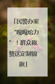 民警办案“嘎嘎给力”！群众称赞送定制锦旗