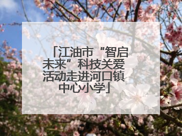 江油市“智启未来”科技关爱活动走进河口镇中心小学