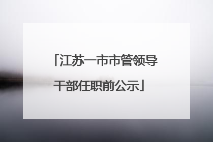 江苏一市市管领导干部任职前公示