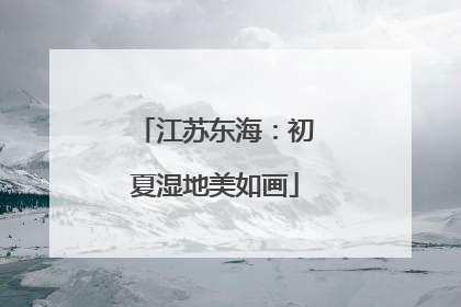 江苏东海：初夏湿地美如画