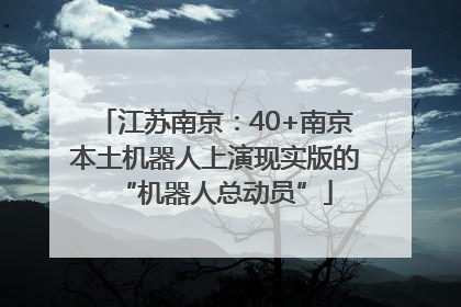 江苏南京：40+南京本土机器人上演现实版的“机器人总动员”