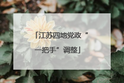 江苏四地党政“一把手”调整