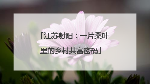 江苏射阳：一片桑叶里的乡村共富密码