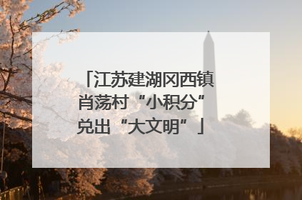 江苏建湖冈西镇肖荡村“小积分”兑出“大文明”