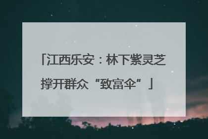 江西乐安：林下紫灵芝撑开群众“致富伞”