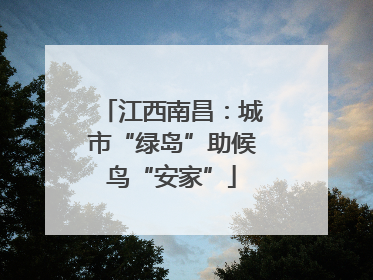 江西南昌：城市“绿岛”助候鸟“安家”