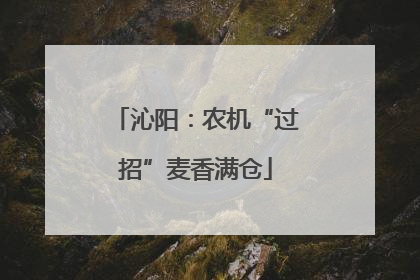 沁阳：农机“过招”麦香满仓