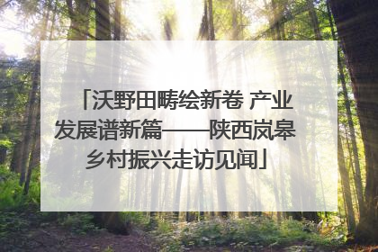 沃野田畴绘新卷 产业发展谱新篇——陕西岚皋乡村振兴走访见闻
