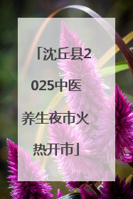 沈丘县2025中医养生夜市火热开市