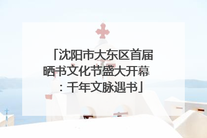 沈阳市大东区首届晒书文化节盛大开幕：千年文脉遇书