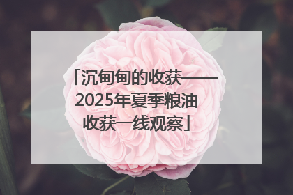 沉甸甸的收获——2025年夏季粮油收获一线观察
