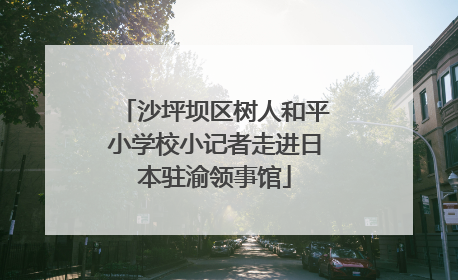 沙坪坝区树人和平小学校小记者走进日本驻渝领事馆