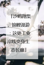 沙鸥翔集、锦鲤漫游：这处工业岸线变身生态长廊