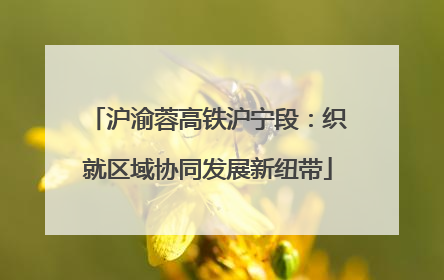 沪渝蓉高铁沪宁段：织就区域协同发展新纽带