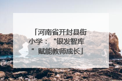 河南省开封县街小学：“银发智库”赋能教师成长