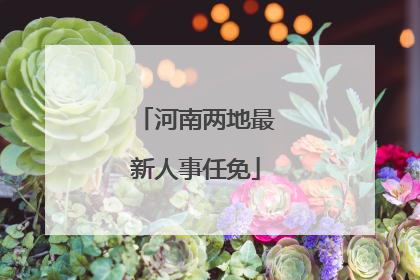 河南两地最新人事任免