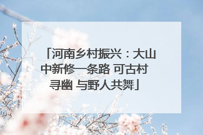 河南乡村振兴：大山中新修一条路 可古村寻幽 与野人共舞