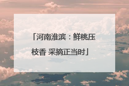 河南淮滨：鲜桃压枝香 采摘正当时
