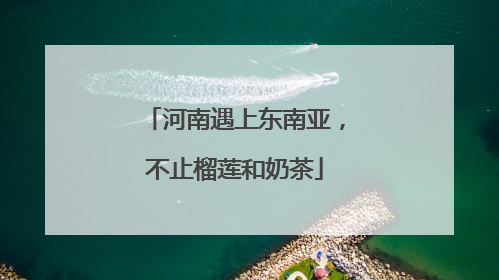 河南遇上东南亚，不止榴莲和奶茶