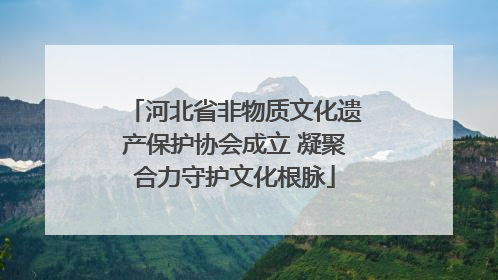河北省非物质文化遗产保护协会成立 凝聚合力守护文化根脉