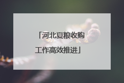 河北夏粮收购工作高效推进