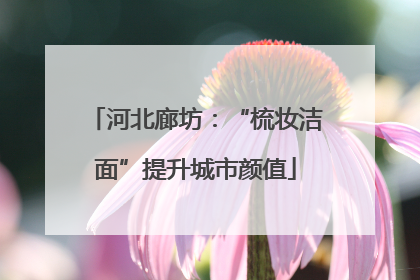 河北廊坊：“梳妆洁面”提升城市颜值