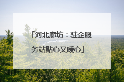 河北廊坊：驻企服务站贴心又暖心