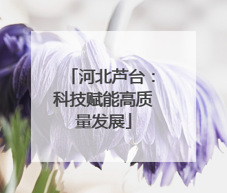 河北芦台：科技赋能高质量发展