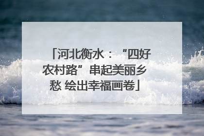 河北衡水：“四好农村路”串起美丽乡愁 绘出幸福画卷