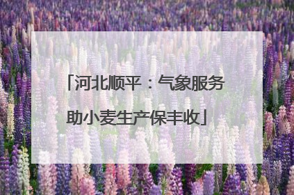 河北顺平：气象服务助小麦生产保丰收