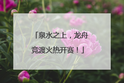 泉水之上，龙舟竞渡火热开赛！