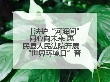 法护“河海间” 同心向未来 惠民县人民法院开展“世界环境日”普法宣传活动