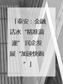 泰安：金融活水“精准滴灌” 民企发展“加速快跑”