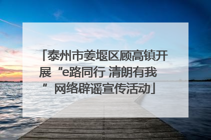 泰州市姜堰区顾高镇开展“e路同行 清朗有我”网络辟谣宣传活动