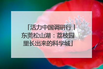 活力中国调研行丨东莞松山湖：荔枝园里长出来的科学城