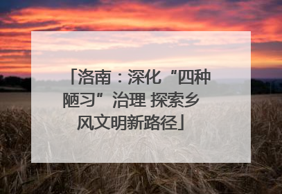 洛南：深化“四种陋习”治理 探索乡风文明新路径