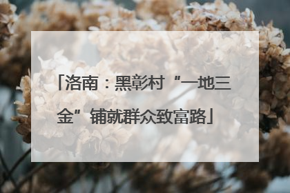 洛南：黑彰村“一地三金”铺就群众致富路