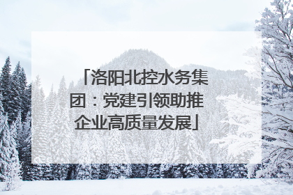 洛阳北控水务集团：党建引领助推企业高质量发展