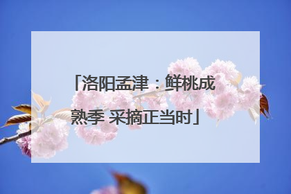 洛阳孟津：鲜桃成熟季 采摘正当时