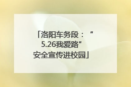洛阳车务段：“5.26我爱路”安全宣传进校园