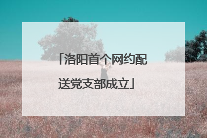 洛阳首个网约配送党支部成立
