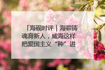 海砚时评｜海疆铸魂育新人，威海这样把爱国主义“种”进年轻人心里