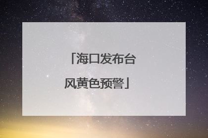海口发布台风黄色预警