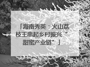 海南秀英：火山荔枝王串起乡村振兴“甜蜜产业链”