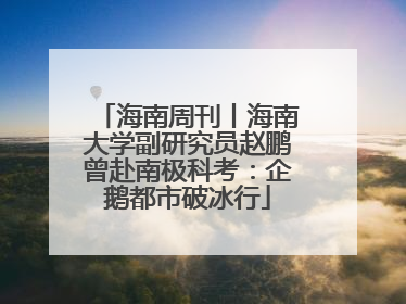 海南周刊丨海南大学副研究员赵鹏曾赴南极科考：企鹅都市破冰行