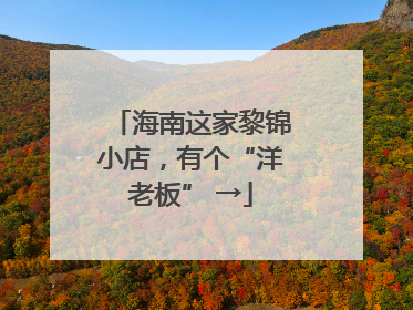 海南这家黎锦小店，有个“洋老板” →